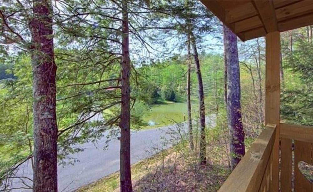 Snoozers Hollow 1 Bedroom Cabin by RedAwning view 5