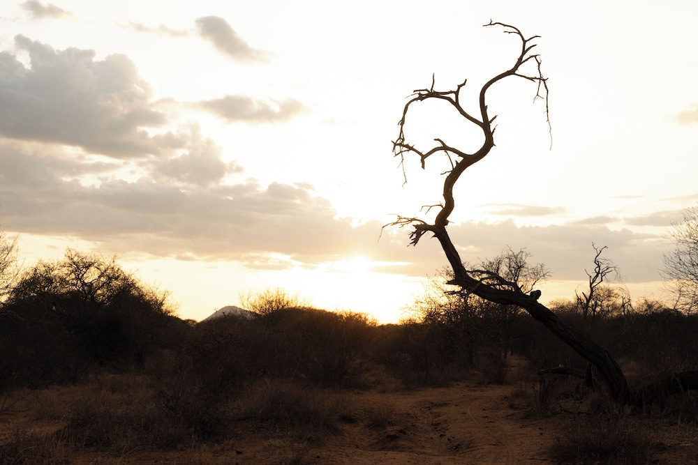 Shibam Campsite