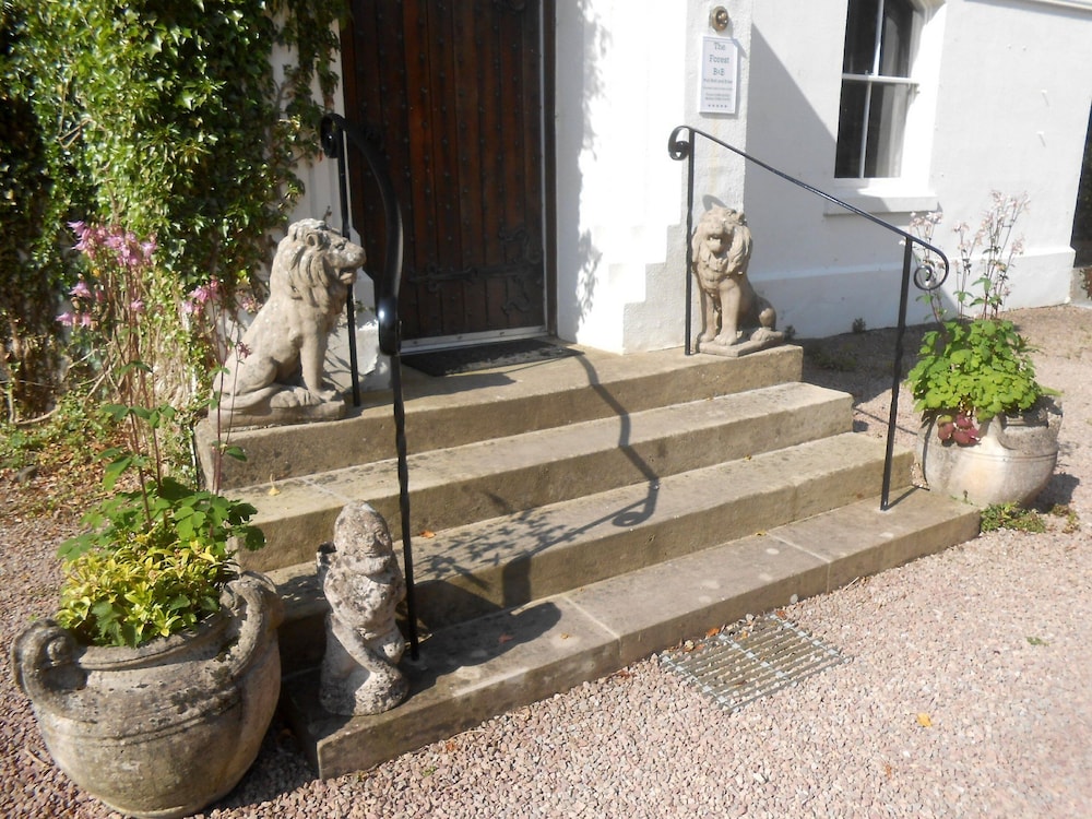 Photo 46
