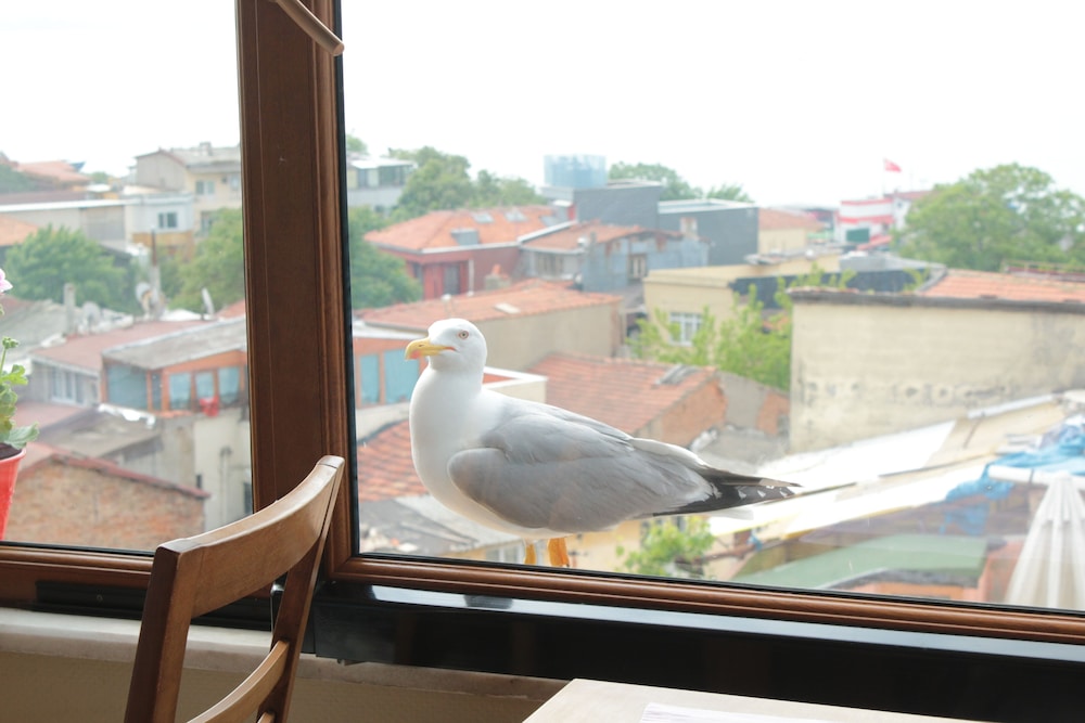 Emine Sultan Otel - Image 10