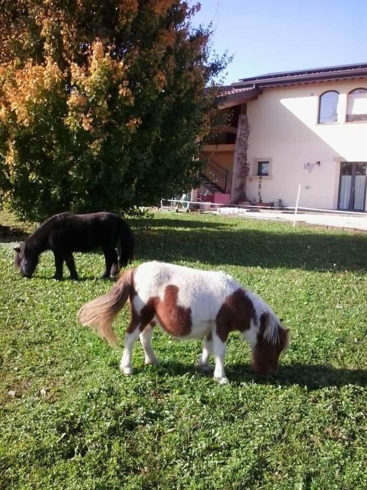 Agriturismo Ca' Del Ferro