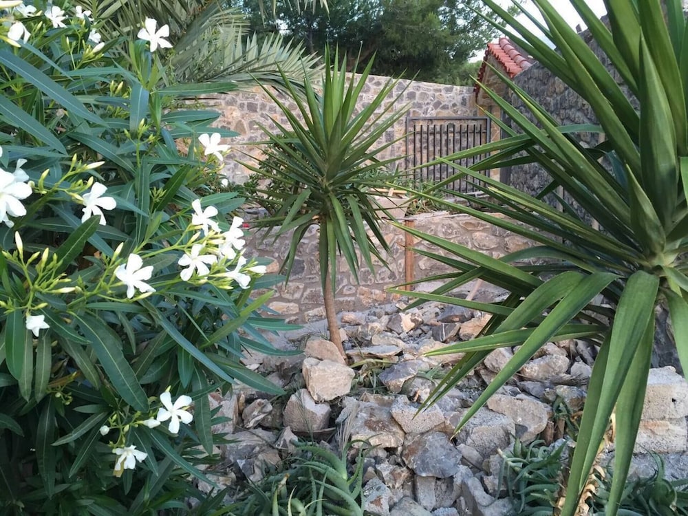Photo 39