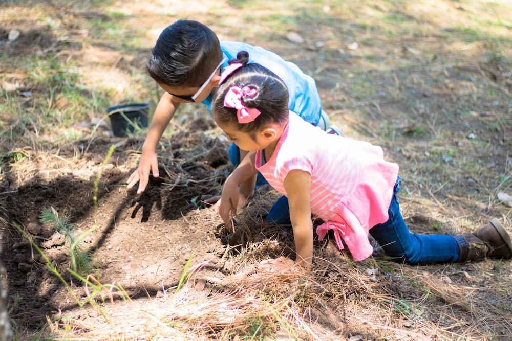 Sierra Lago Resort  Spa - All inclusive - Property Image 144