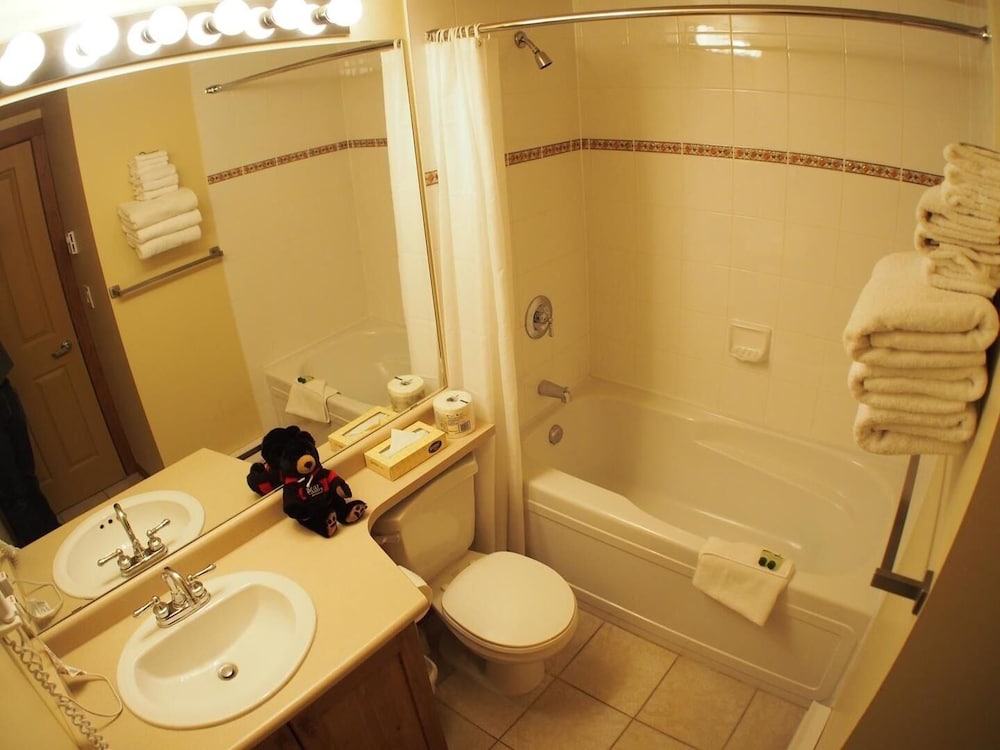 Fireside Lodge #302 By Bear Country - Image 5