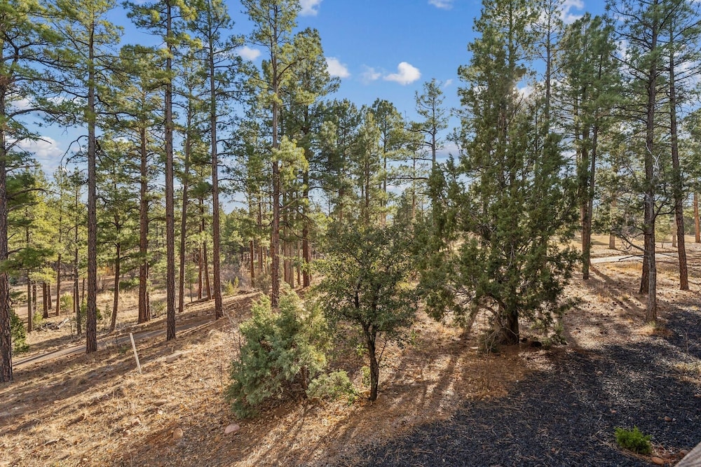 Scenic Golf Retreat With Modern Comforts & Fireplace 4 Bedroom Townhouse