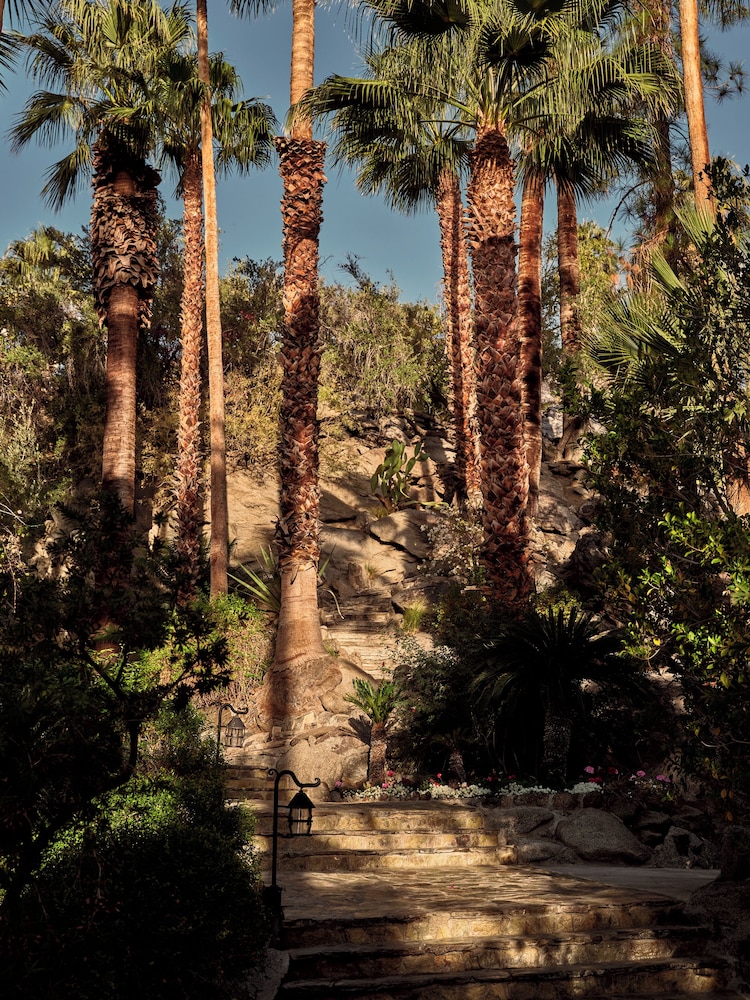 The Willows Palm Springs