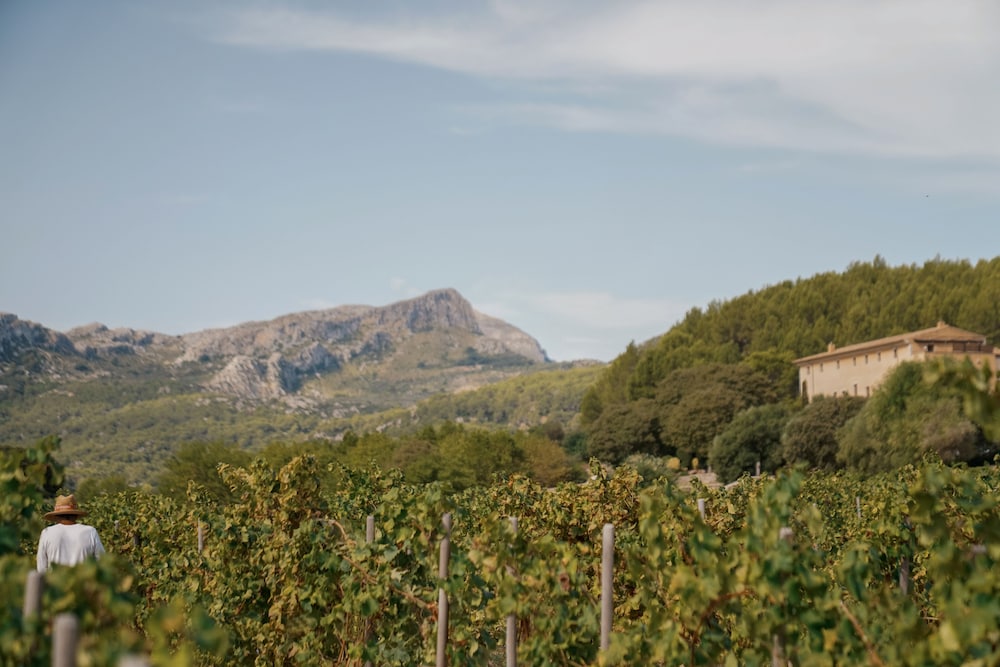 Son Brull Hotel & Spa photo 2