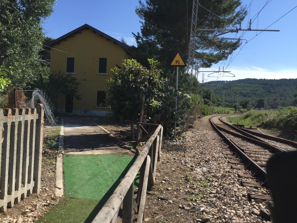 Photo 13