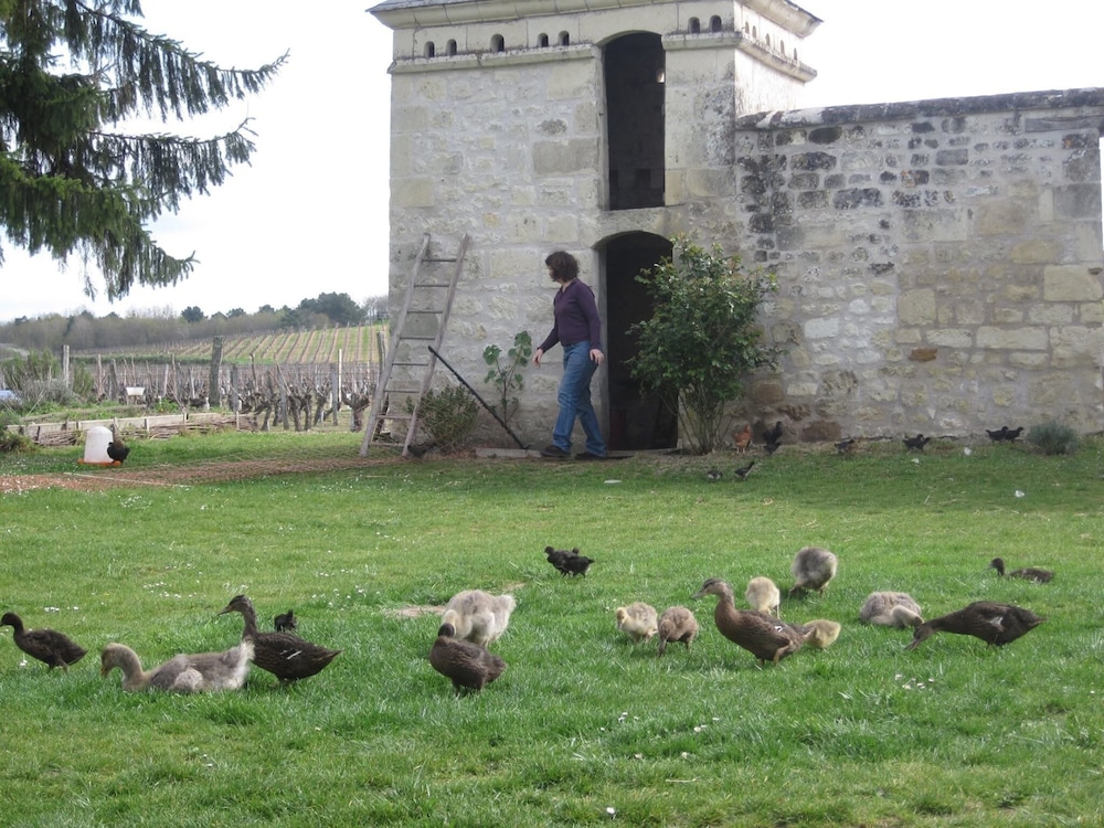 La Galotiere