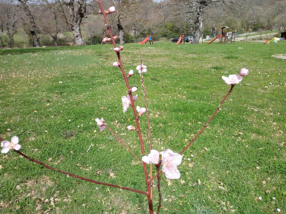 Parco dei Crisciuni Villaggio Camping