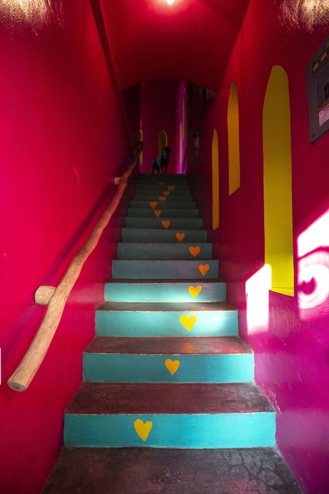 Photo 41