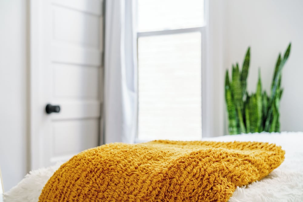 Jungle House Boutique Suites – Short North & Convention Center