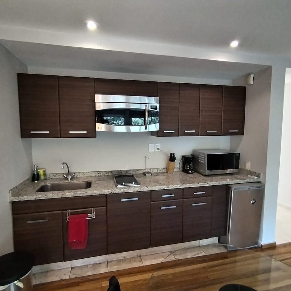 Arquimedes Light I Chic 1BR in Polanco
