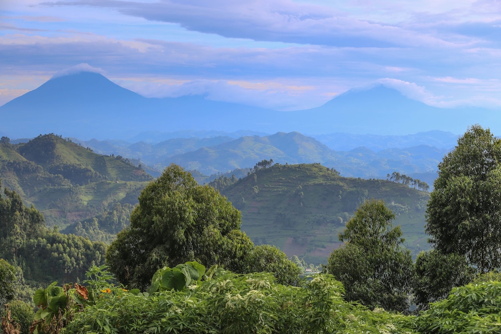 Nkuringo Bwindi Gorilla Lodge