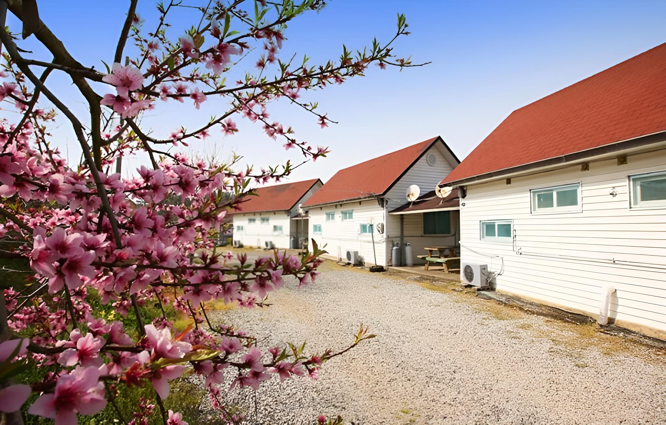 Taean Sujung Pension view 5