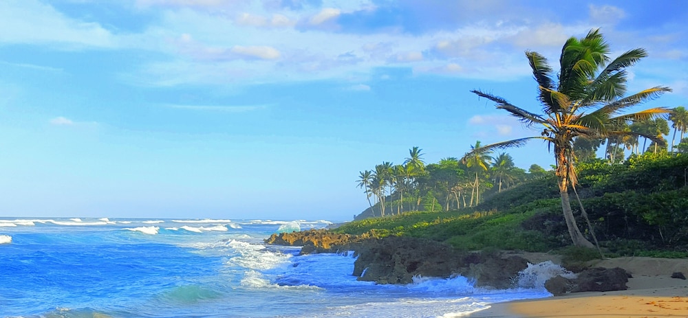 Condo Cabrinha - Direct on Kite Beach