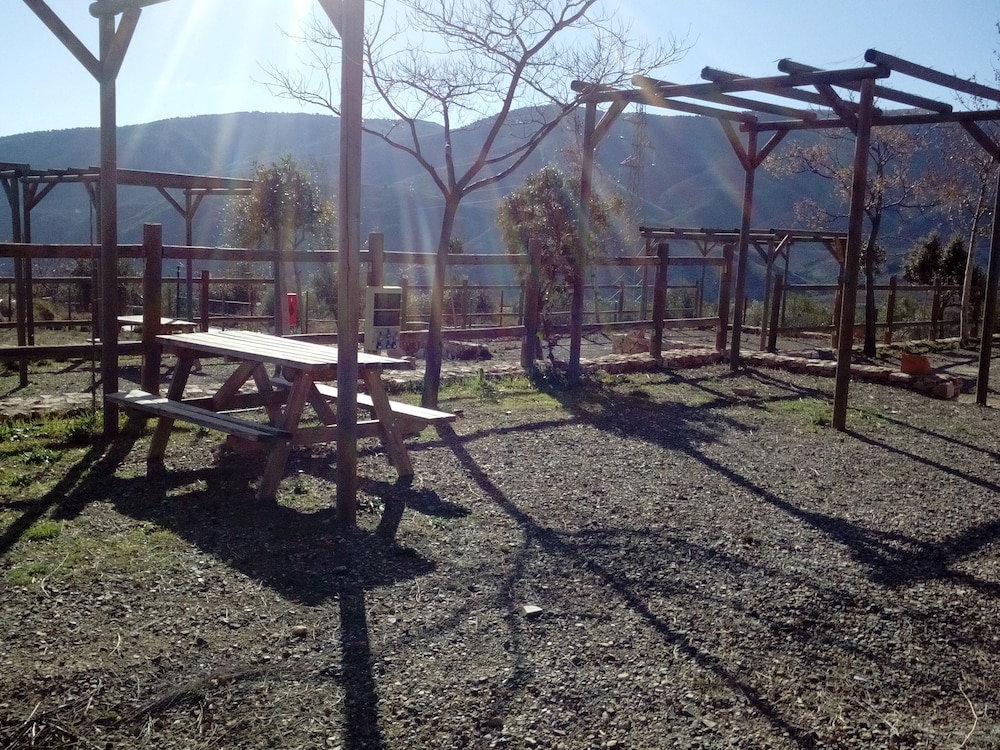 Camping Almocita