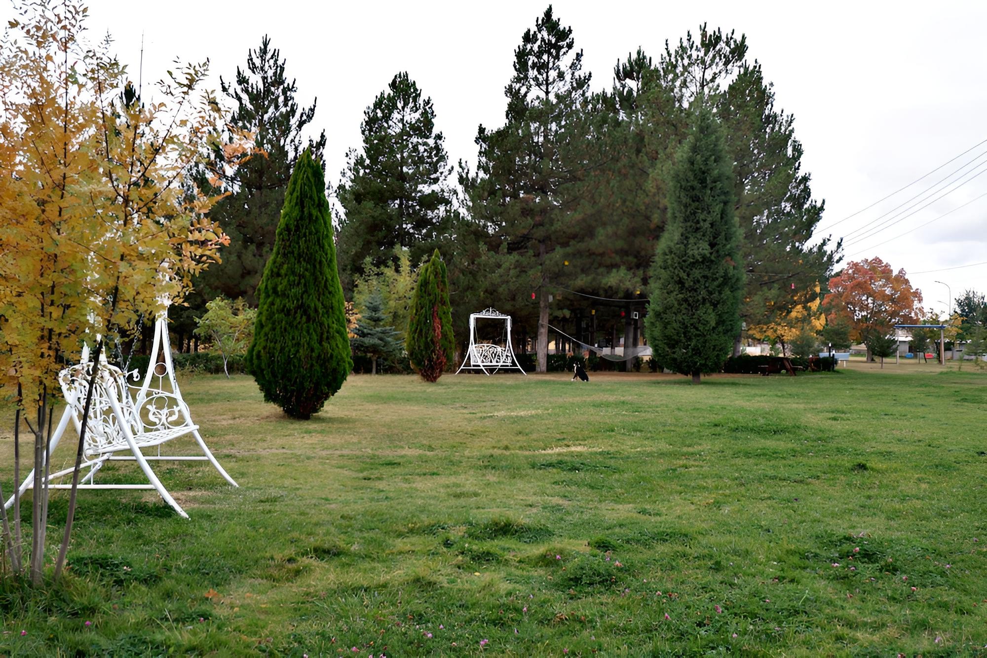 Photo 10