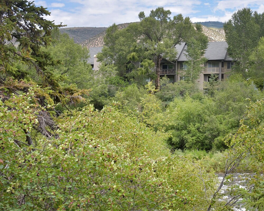 Canyon Run I-203 2 Bedroom Condo by Redawning - Property Image 3