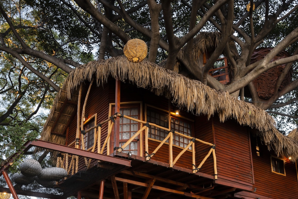 Hotel Nido Ecoluxury Treehouse - Casa de Arbol - Image 1