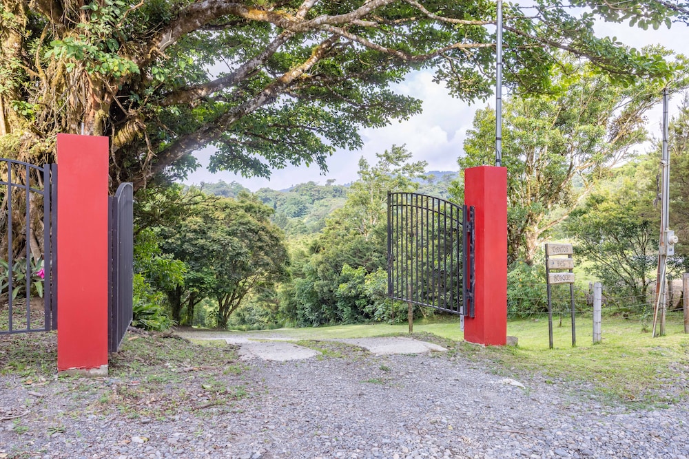 Cantos del Bosque Monteverde