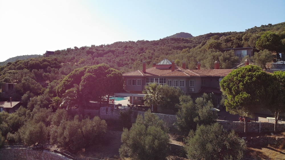 IDAOLEA.ASSOS