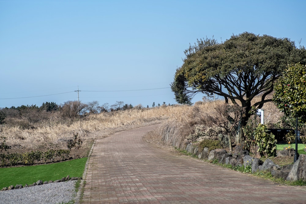 Jeju Nollmung