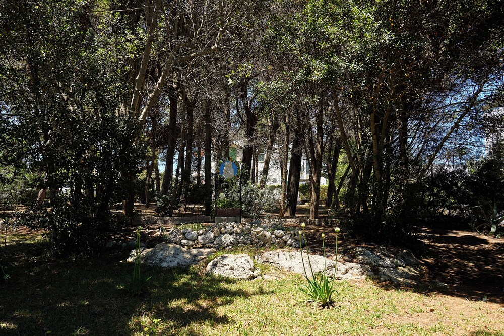 Tenuta Belvedere