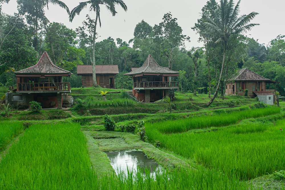 Tepi Sawah Lodge