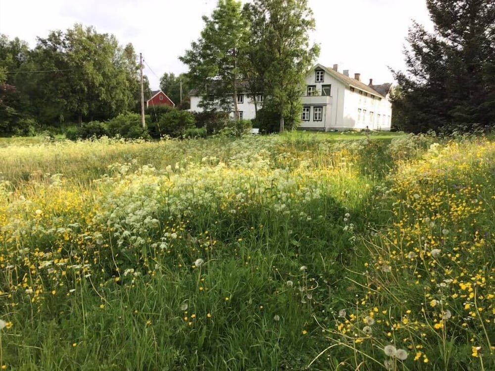 Skagen Gaard view 4