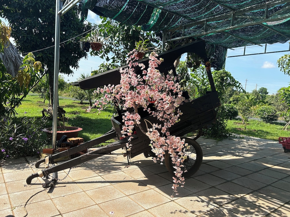 Photo 19