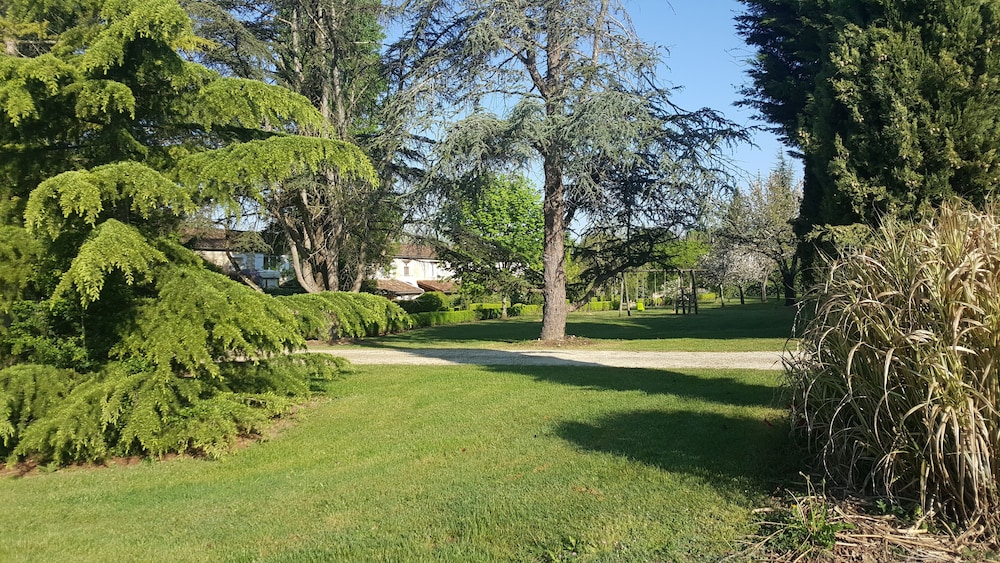 Photo 31