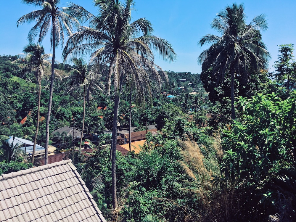 Reggae Village