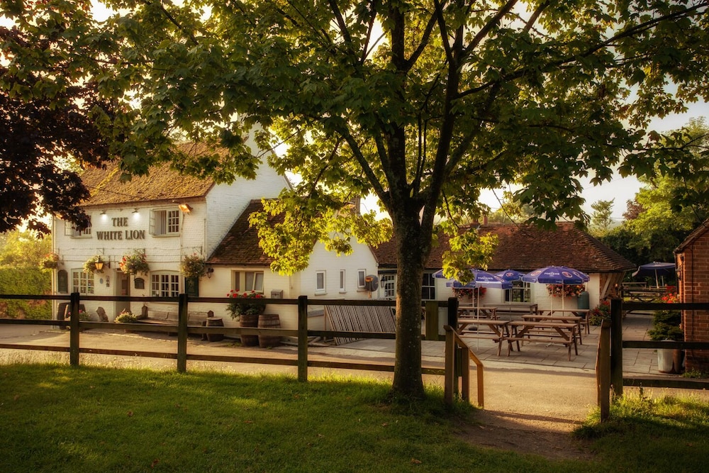 The White Lion
