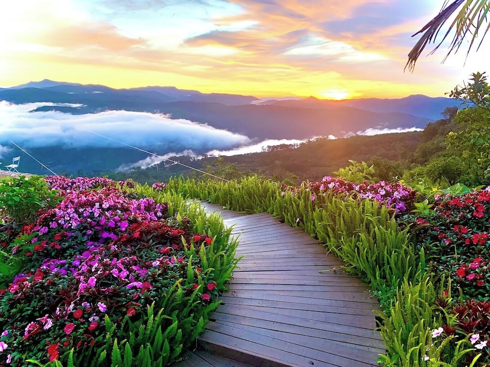 Cloud9 & Cloud View Glamping