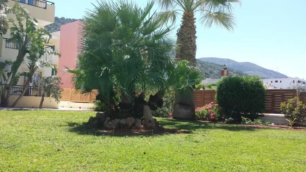 Photo 6