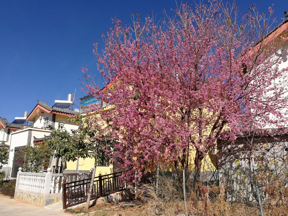 37 Garden Guesthouse Shilin Family