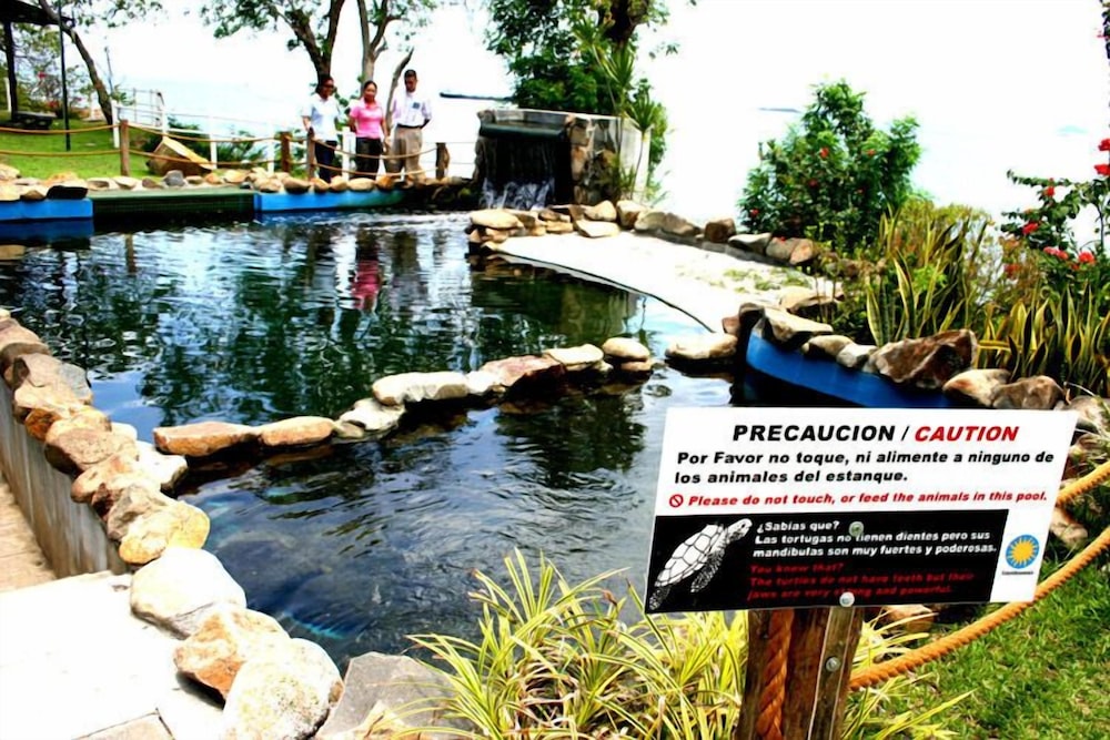Tourist Center Of  Tours Of Panamá view 3