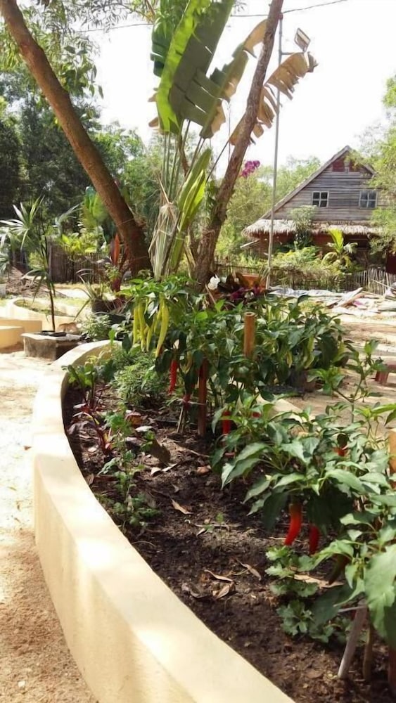 Mangroves & More