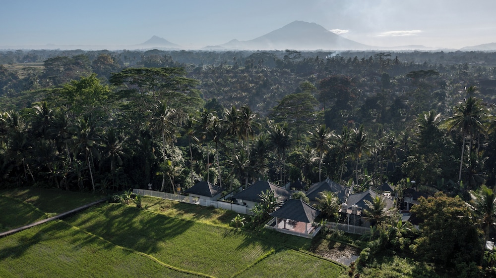 Capung Asri Ubud view 2