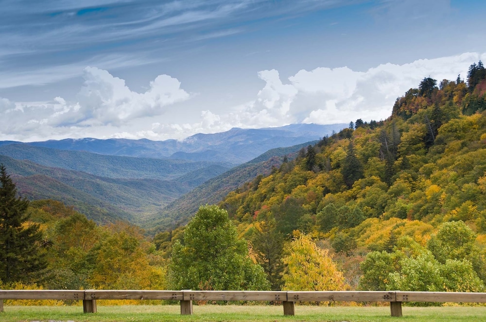 Ern860 - Cozy Bear Overlook 4 Bedroom Cabin