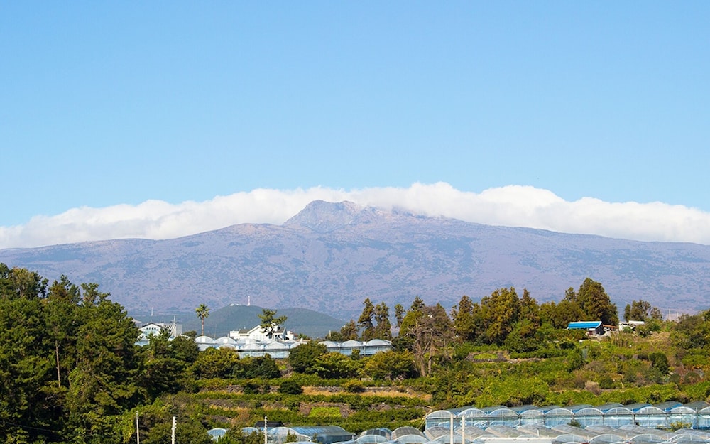 Jeju Sangchune Pension and Guest House view 4