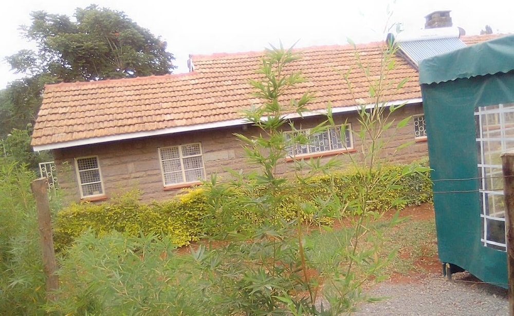 Photo 27