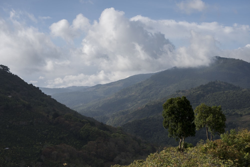 Cedrela Ecolodge