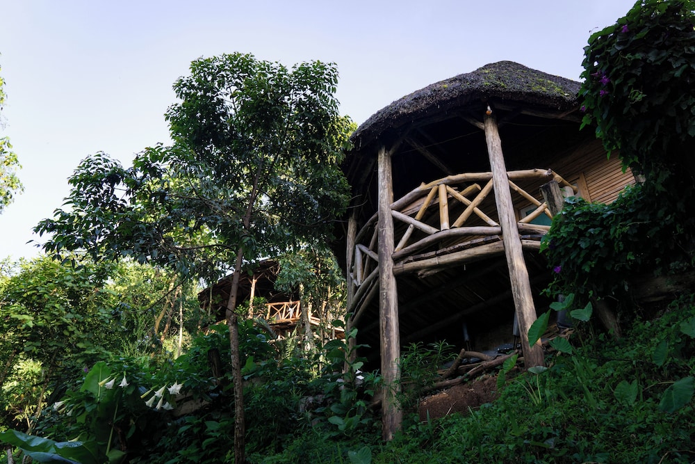 Dave Cave Eco Lodge and Campsite