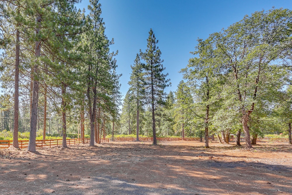 Private Horse Stall: Unplug at Shingletown Home!