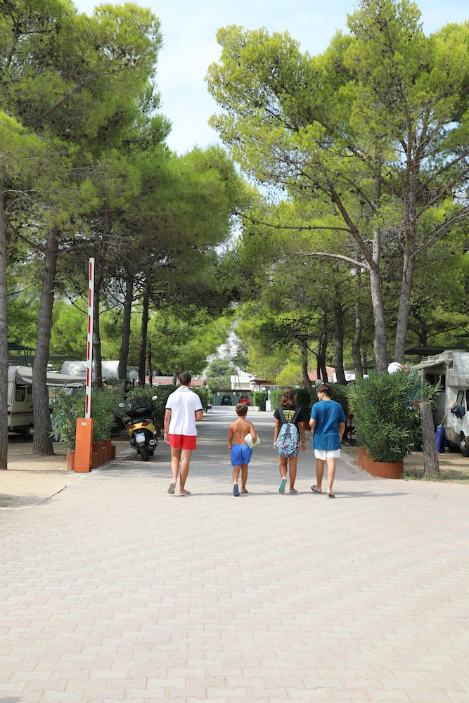 Camping Euro 92 photo 5