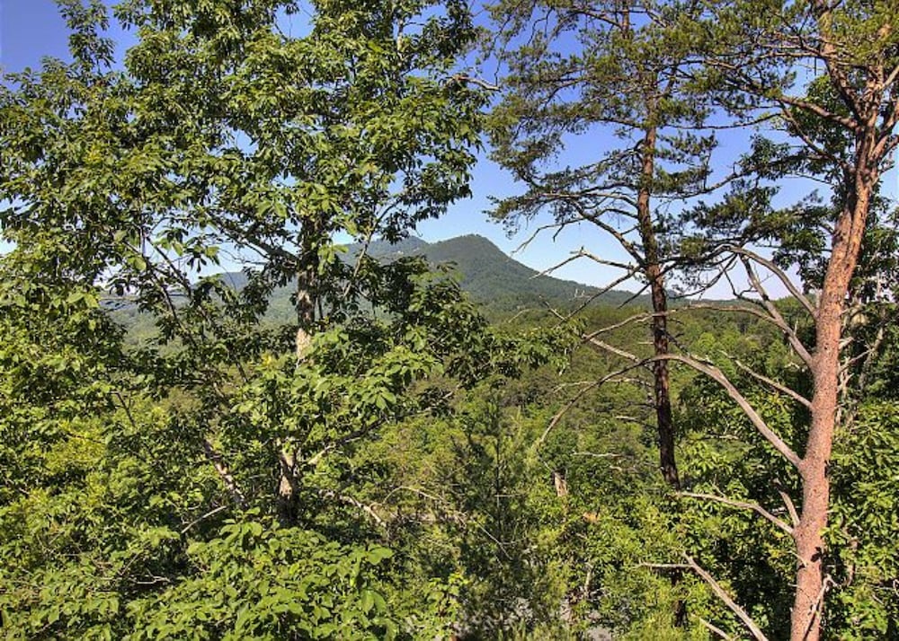 Photo 46