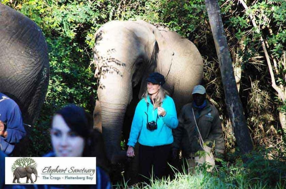 Elephant Country Guest House