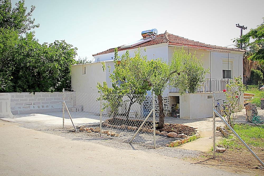 Photo 31